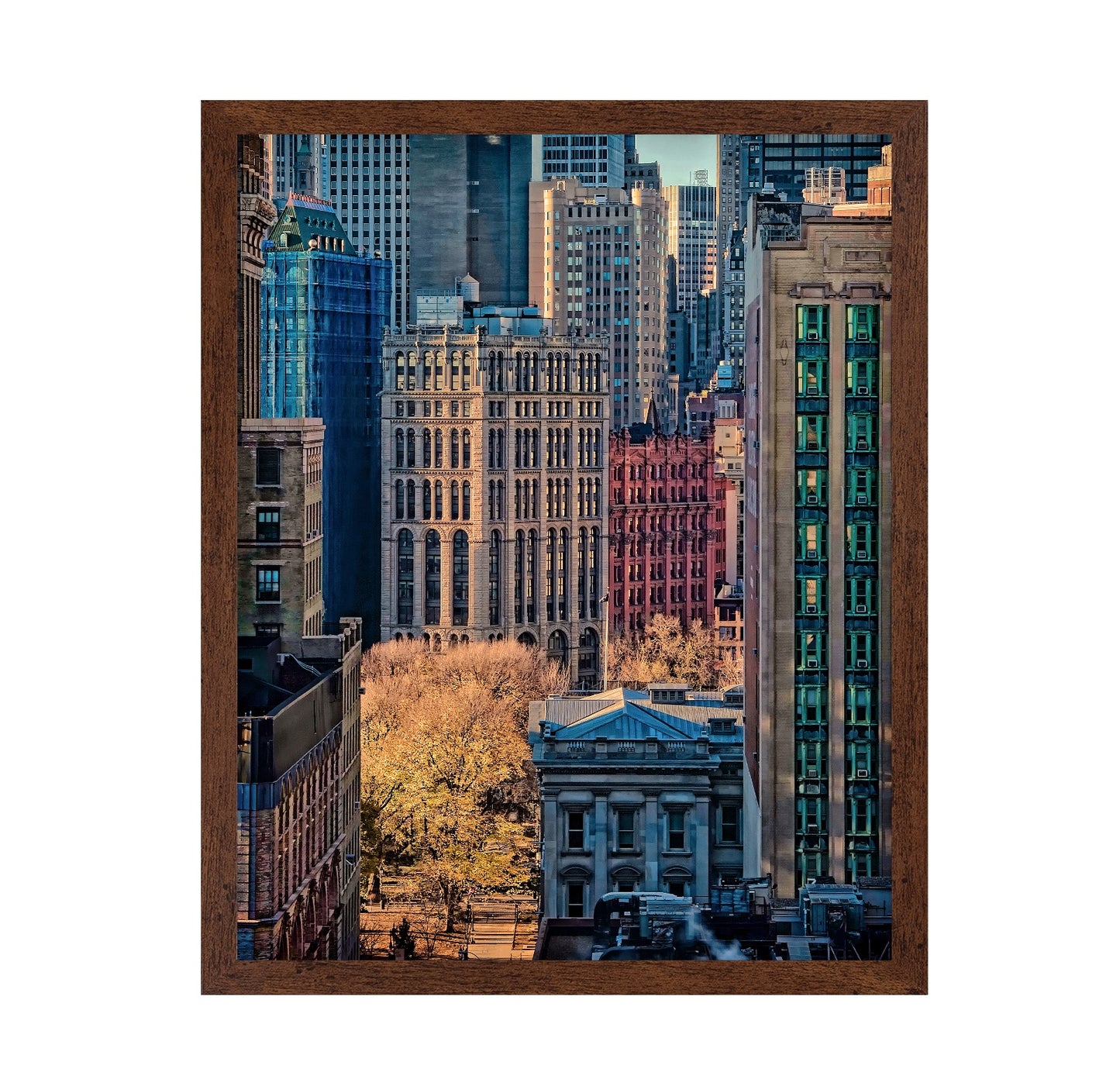 Colours of NY