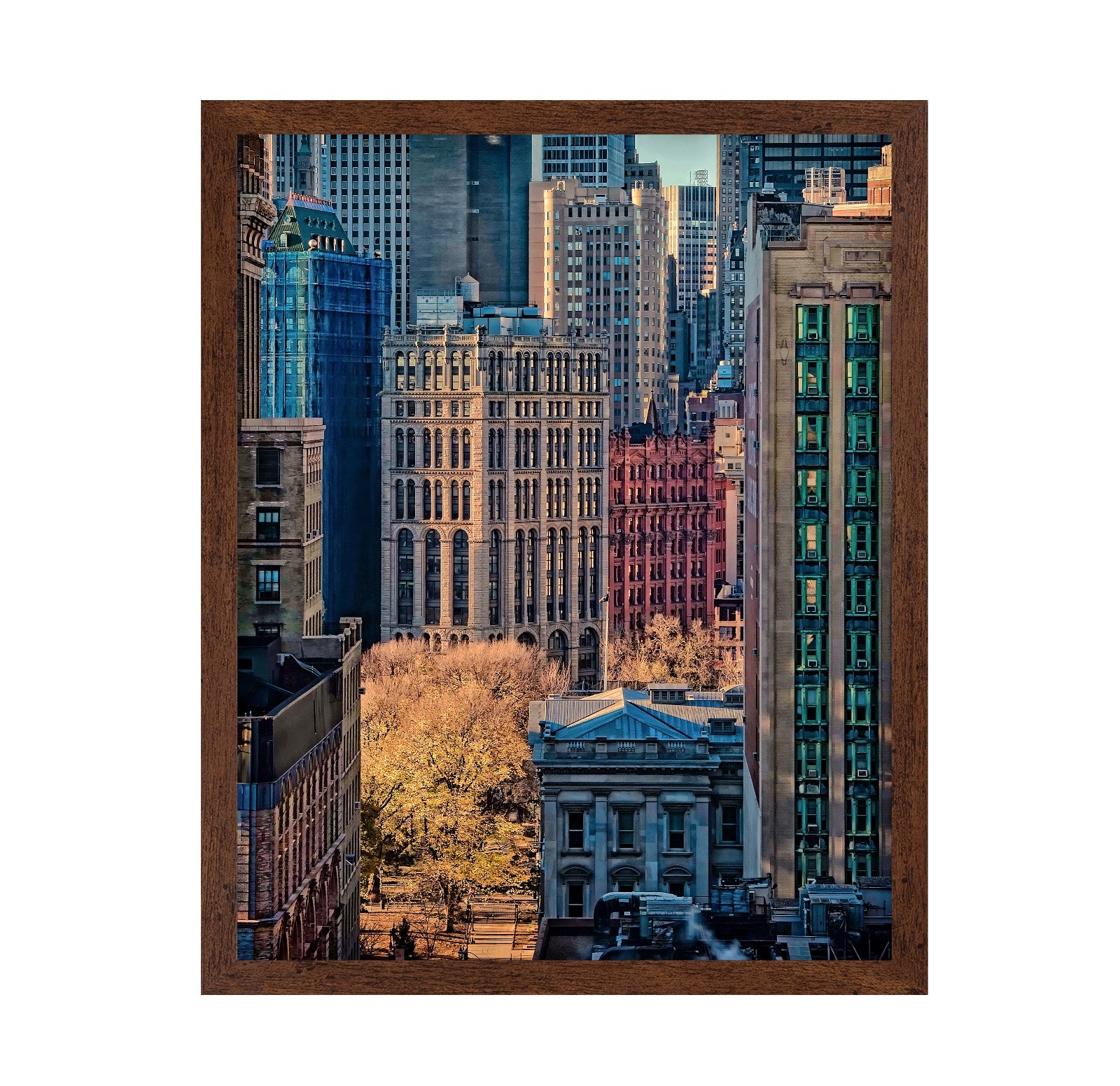 Colours of NY