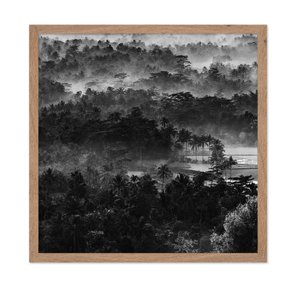 Mist In The Morning
