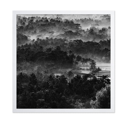 Mist In The Morning