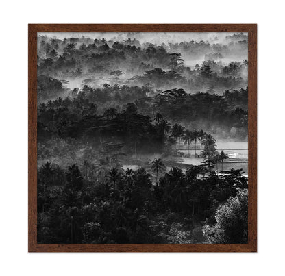 Mist In The Morning