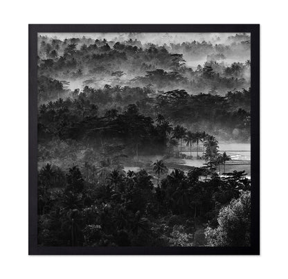 Mist In The Morning