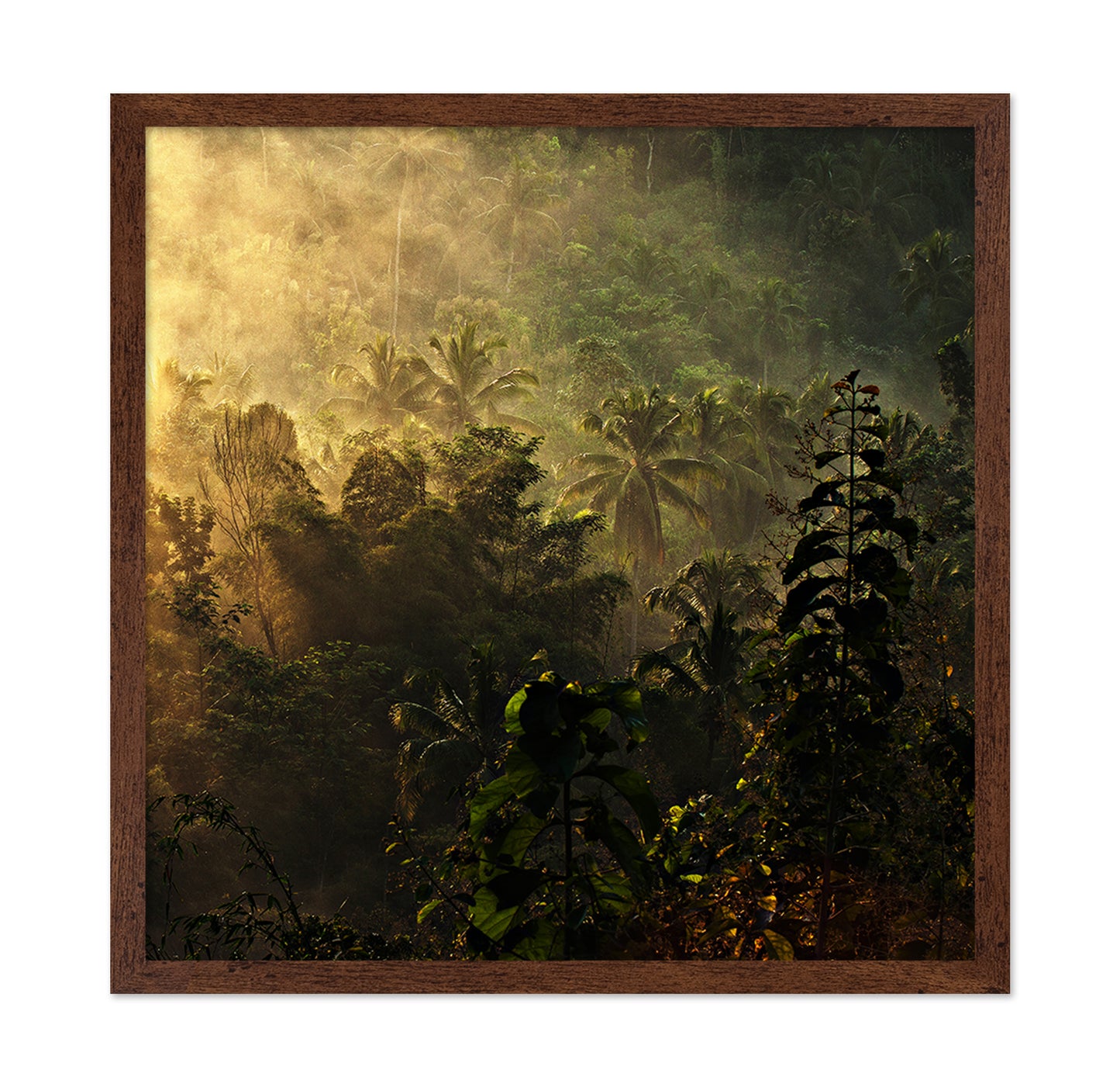 The Atmosphere Of The Morning