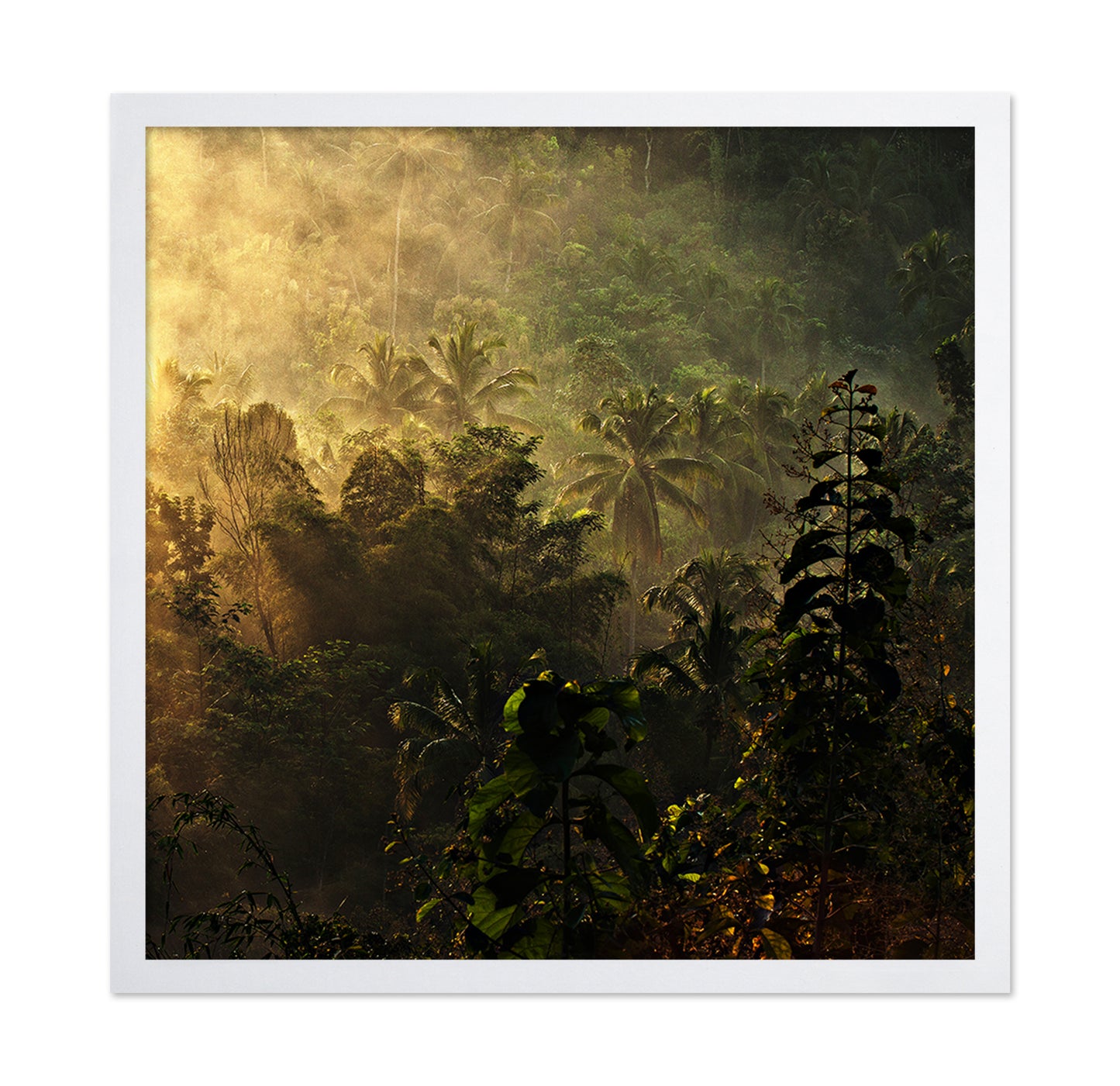 The Atmosphere Of The Morning