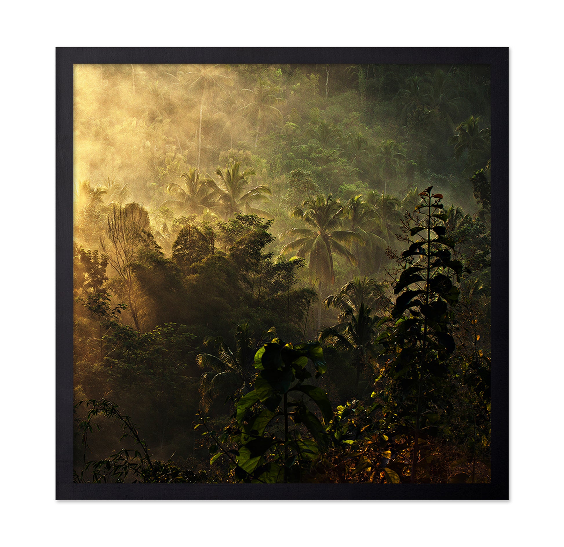 The Atmosphere Of The Morning