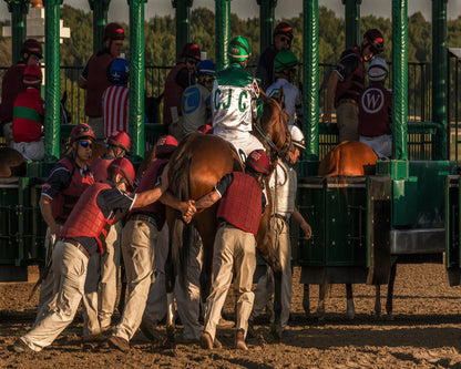 Horse Power