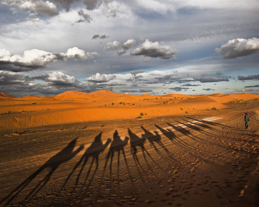 Through The Dunes Of Merzouga