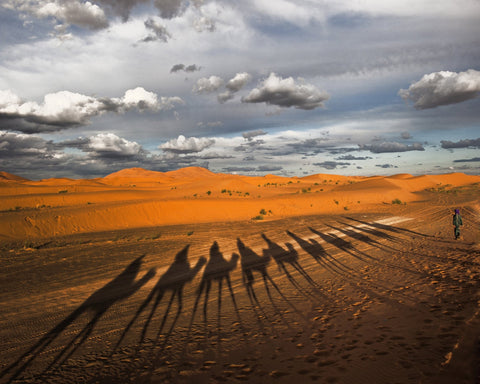 Through The Dunes Of Merzouga