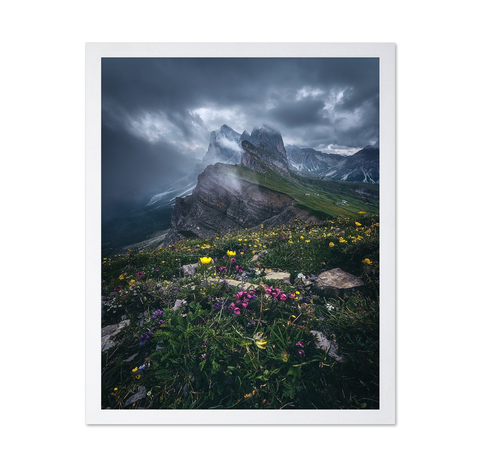 Dolomites - Seceda 2500