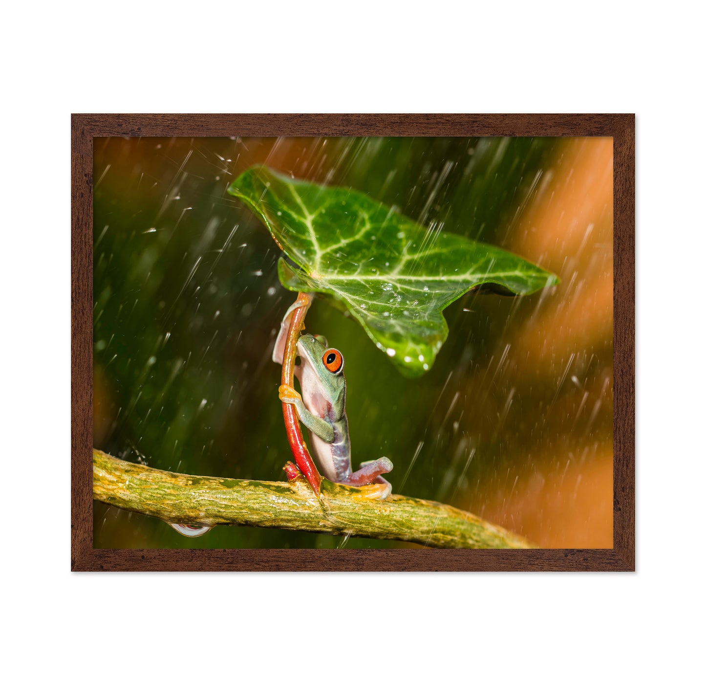 Tropical Frog Umbrella