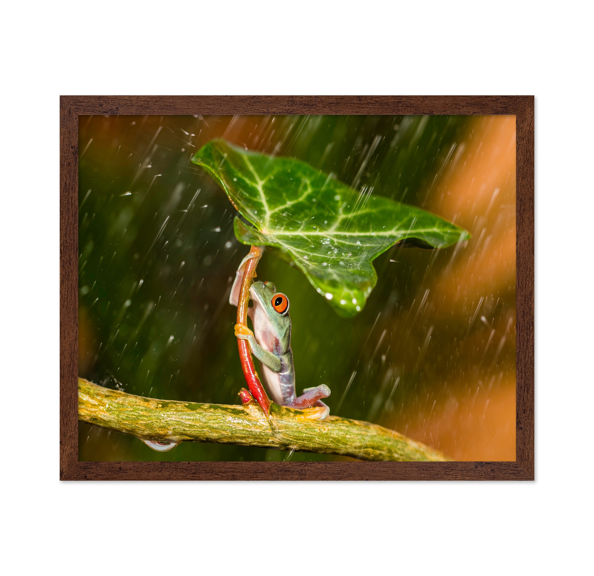 Tropical Frog Umbrella