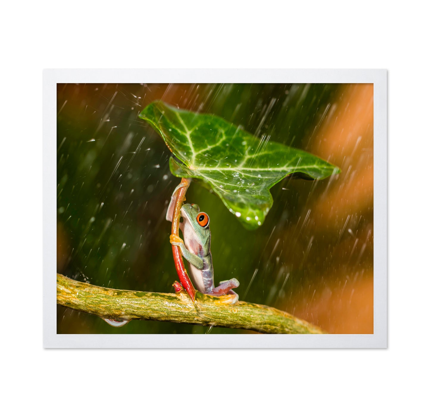 Tropical Frog Umbrella