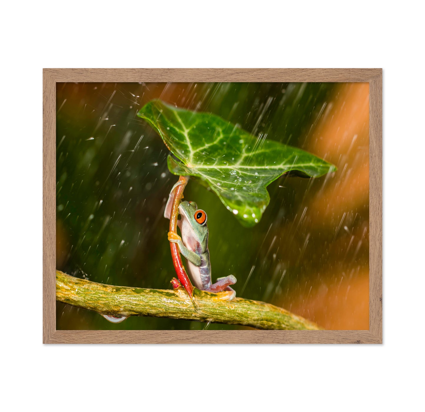 Tropical Frog Umbrella