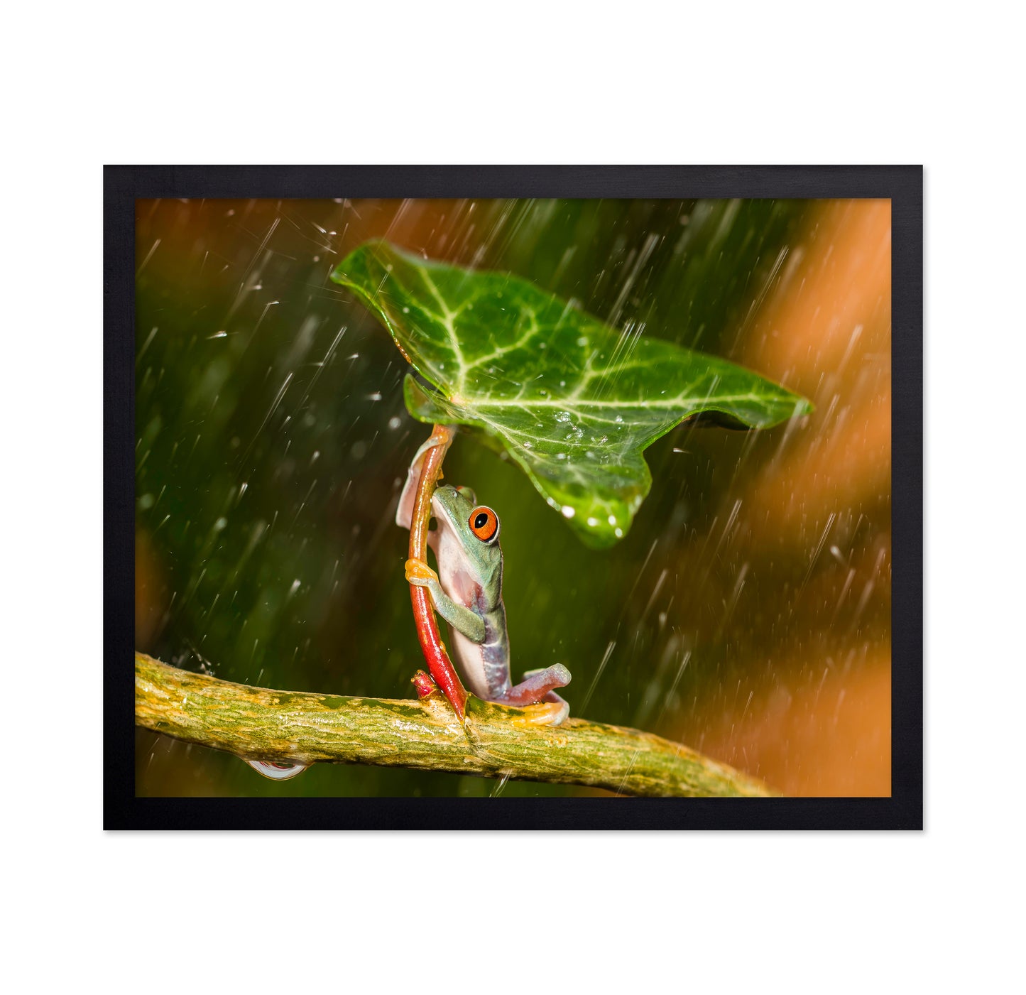 Tropical Frog Umbrella