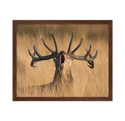Ready to Rut
