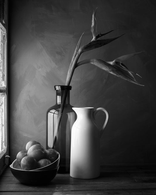 Plums and Jars Still Life