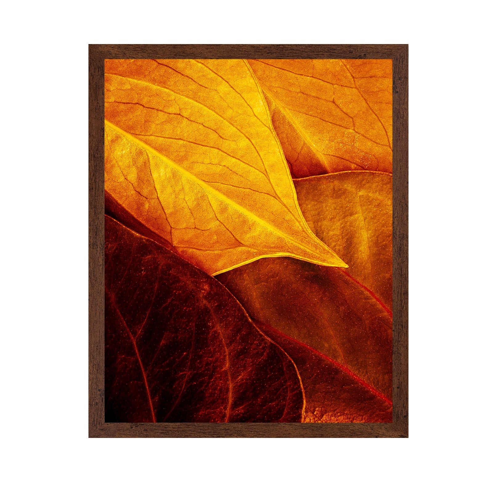 Leaves