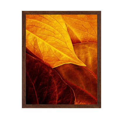 Leaves
