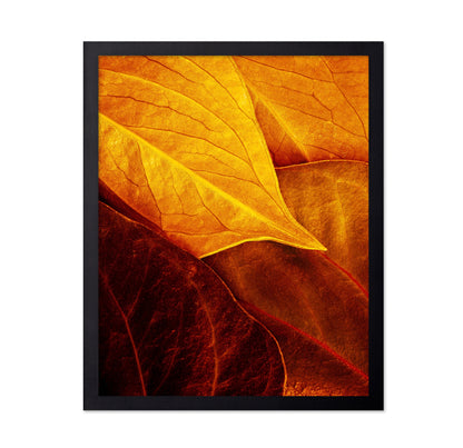 Leaves