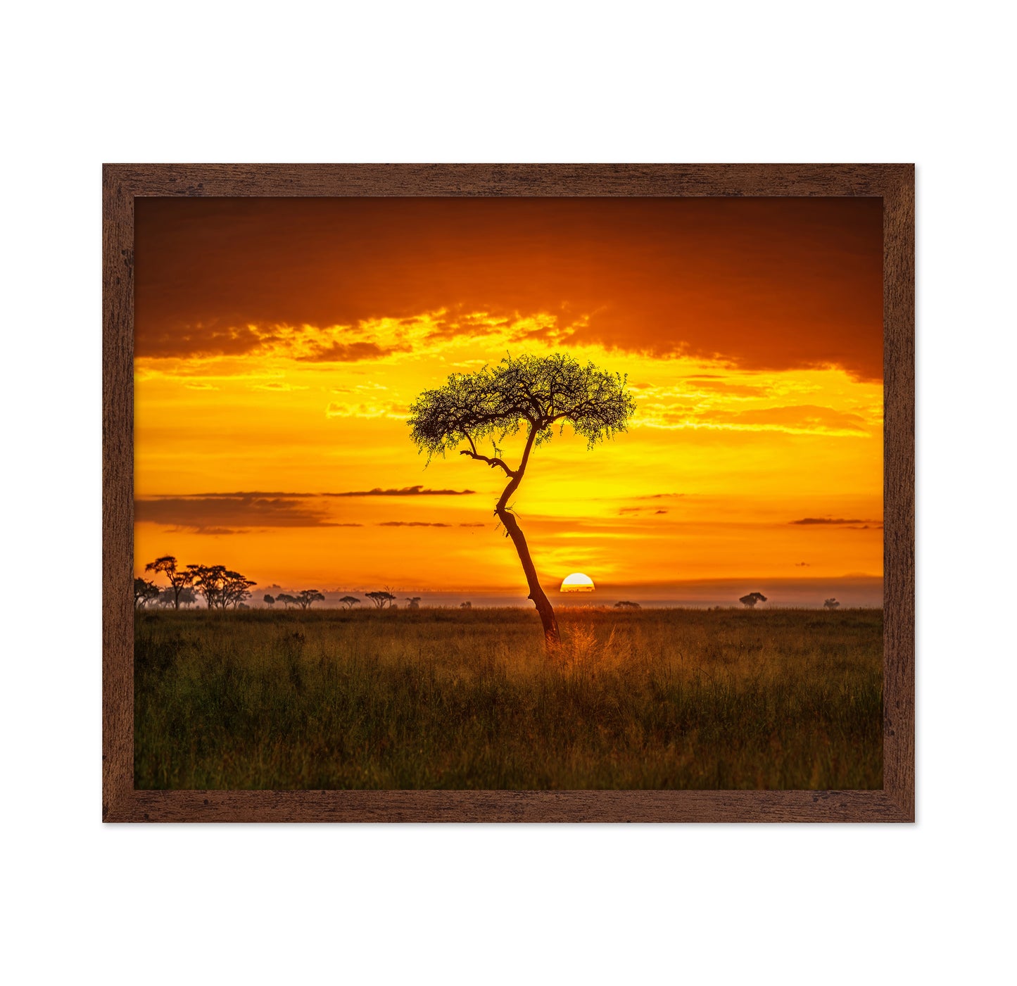 Primordial Africa