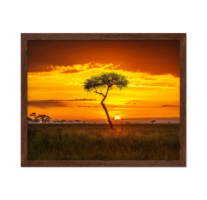 Primordial Africa