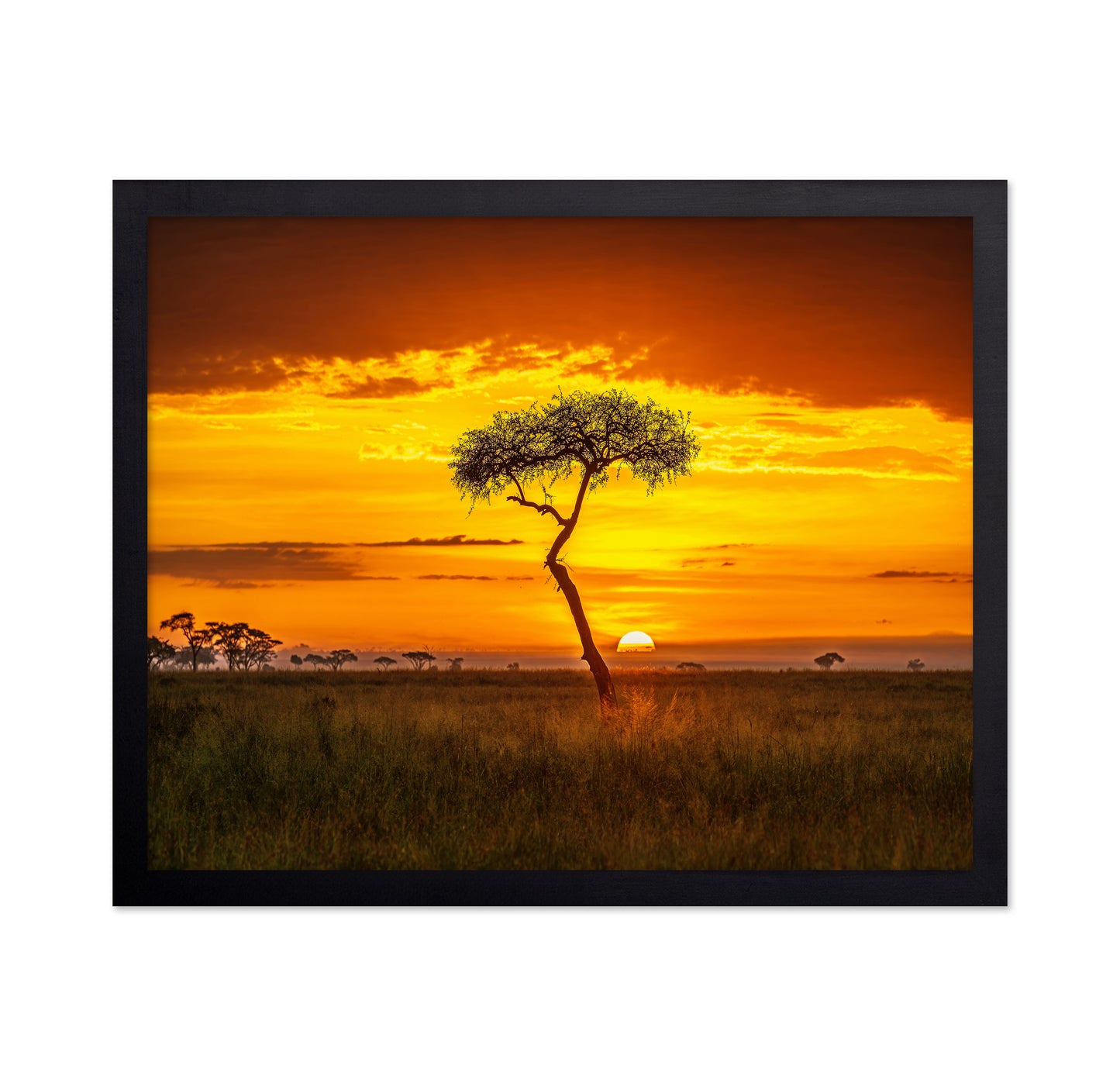 Primordial Africa