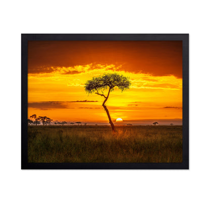 Primordial Africa