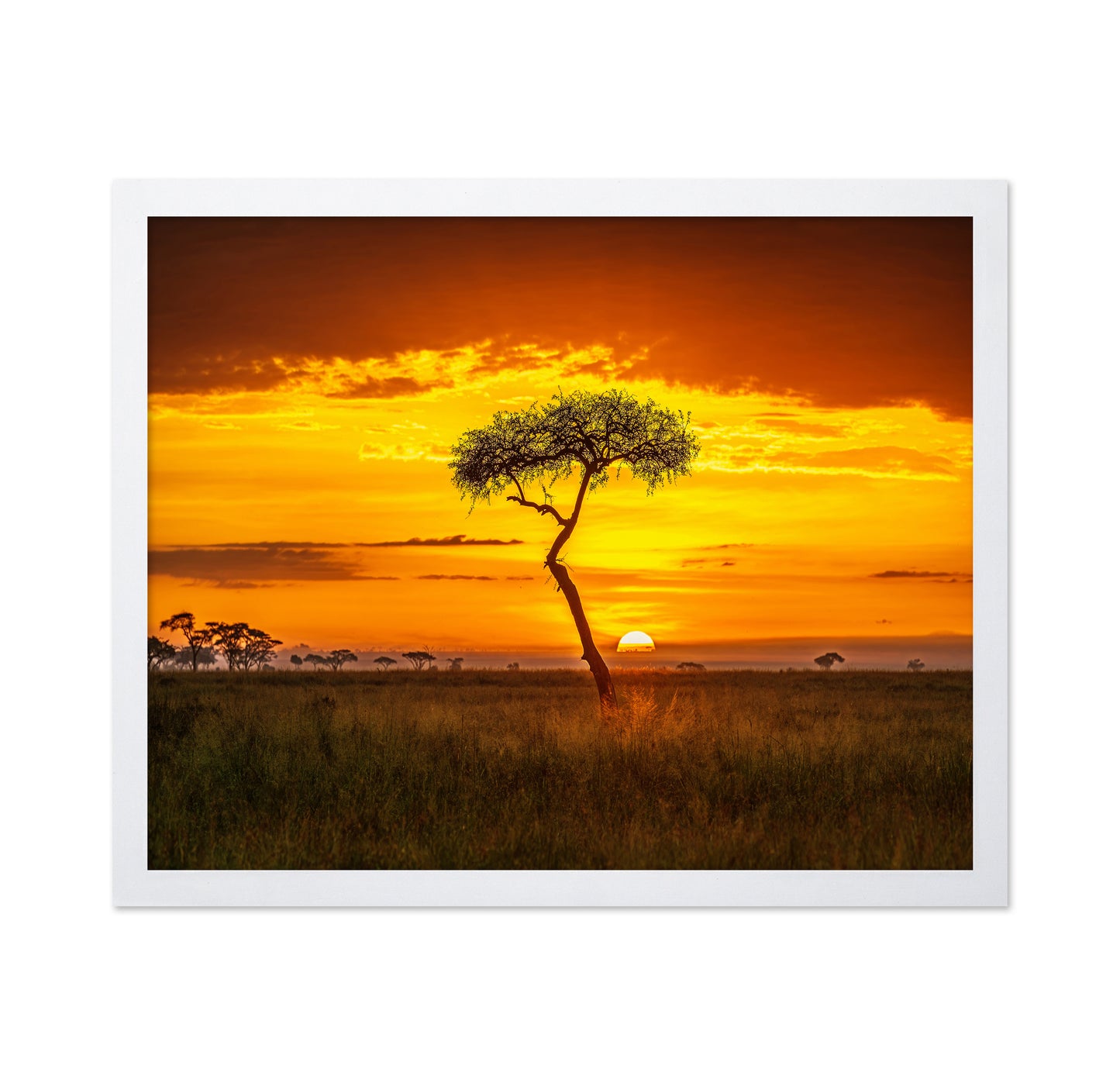 Primordial Africa