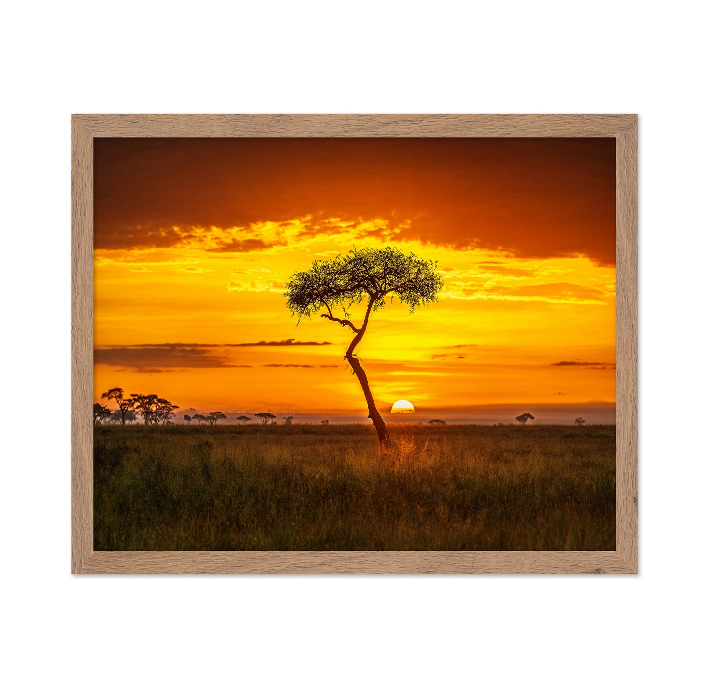 Primordial Africa