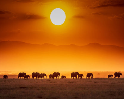 Sunrise Parade