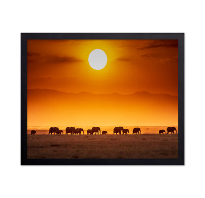 Sunrise Parade