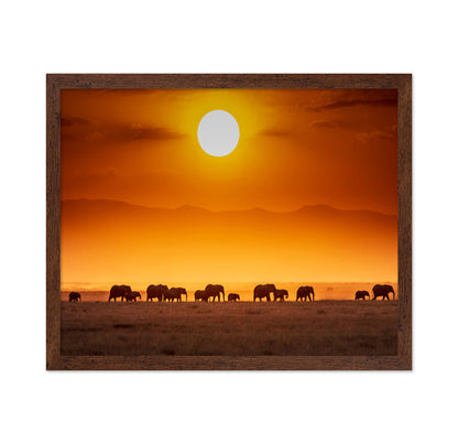 Sunrise Parade