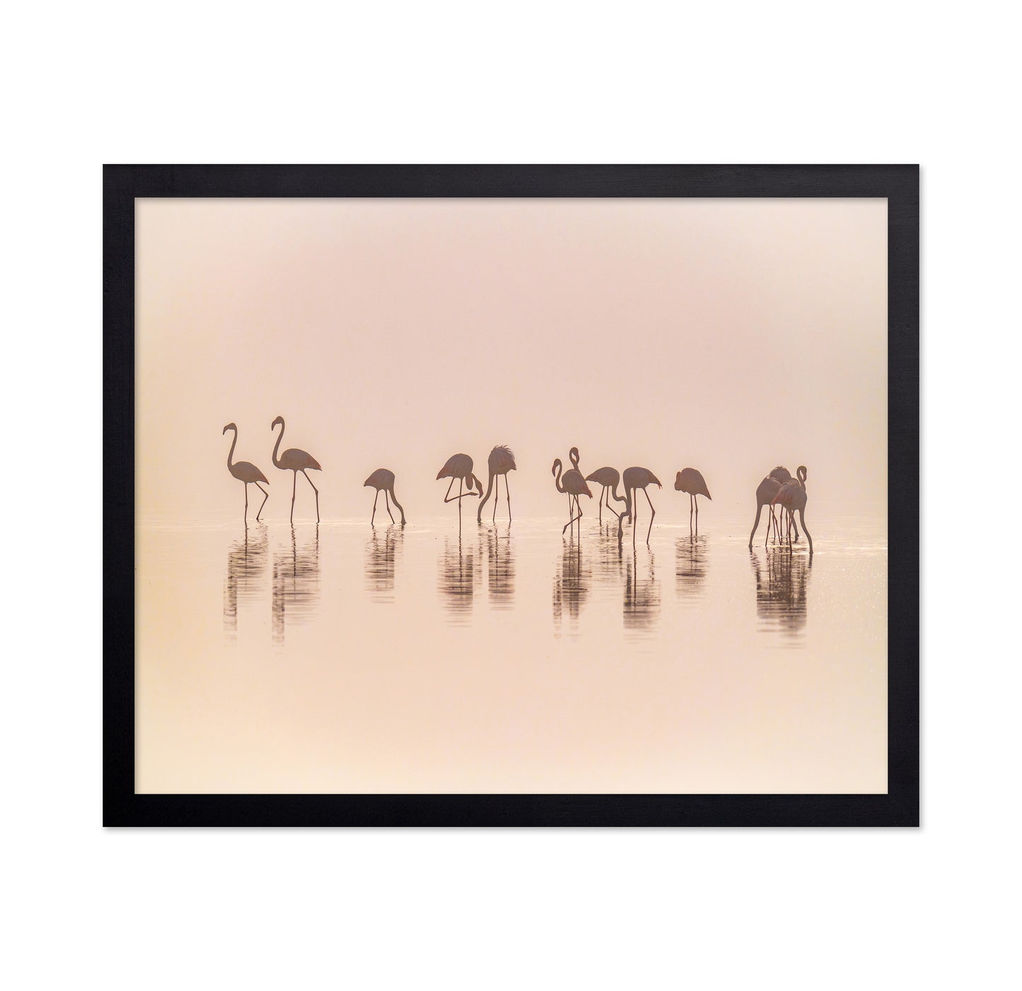 Flamingos In The Mist