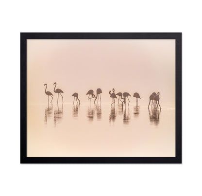 Flamingos In The Mist