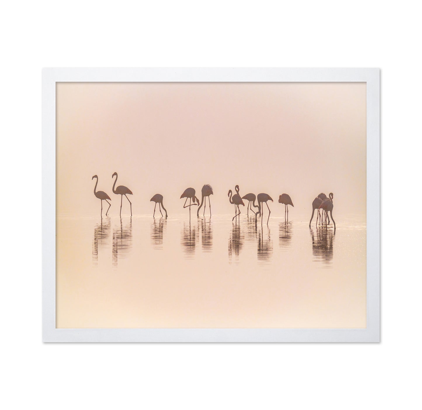Flamingos In The Mist