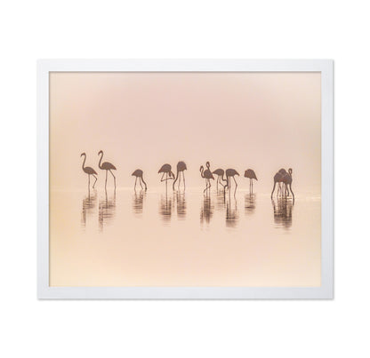 Flamingos In The Mist