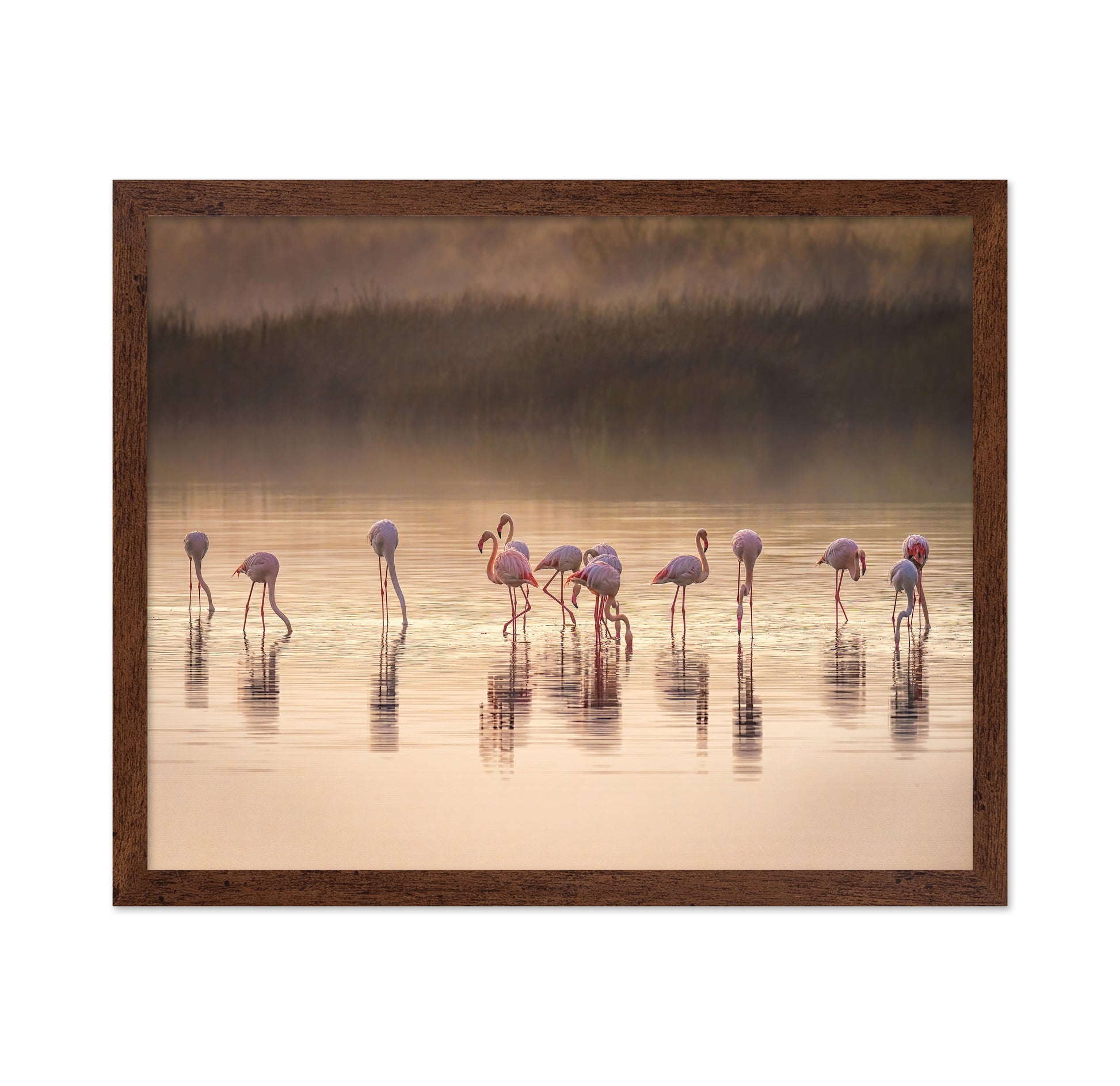 Photographic Ode to Monet