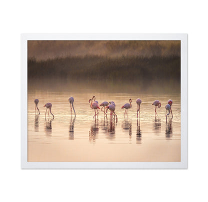 Photographic Ode to Monet