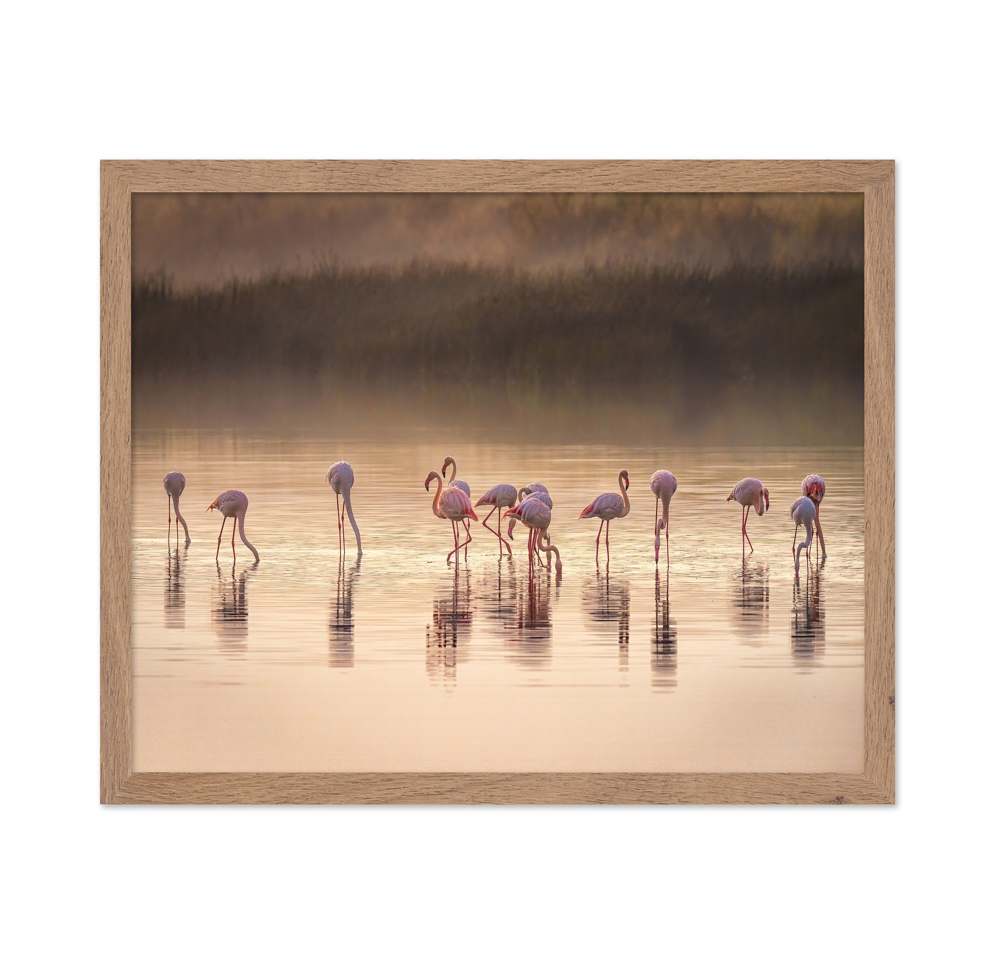 Photographic Ode to Monet
