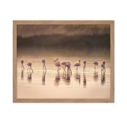 Photographic Ode to Monet