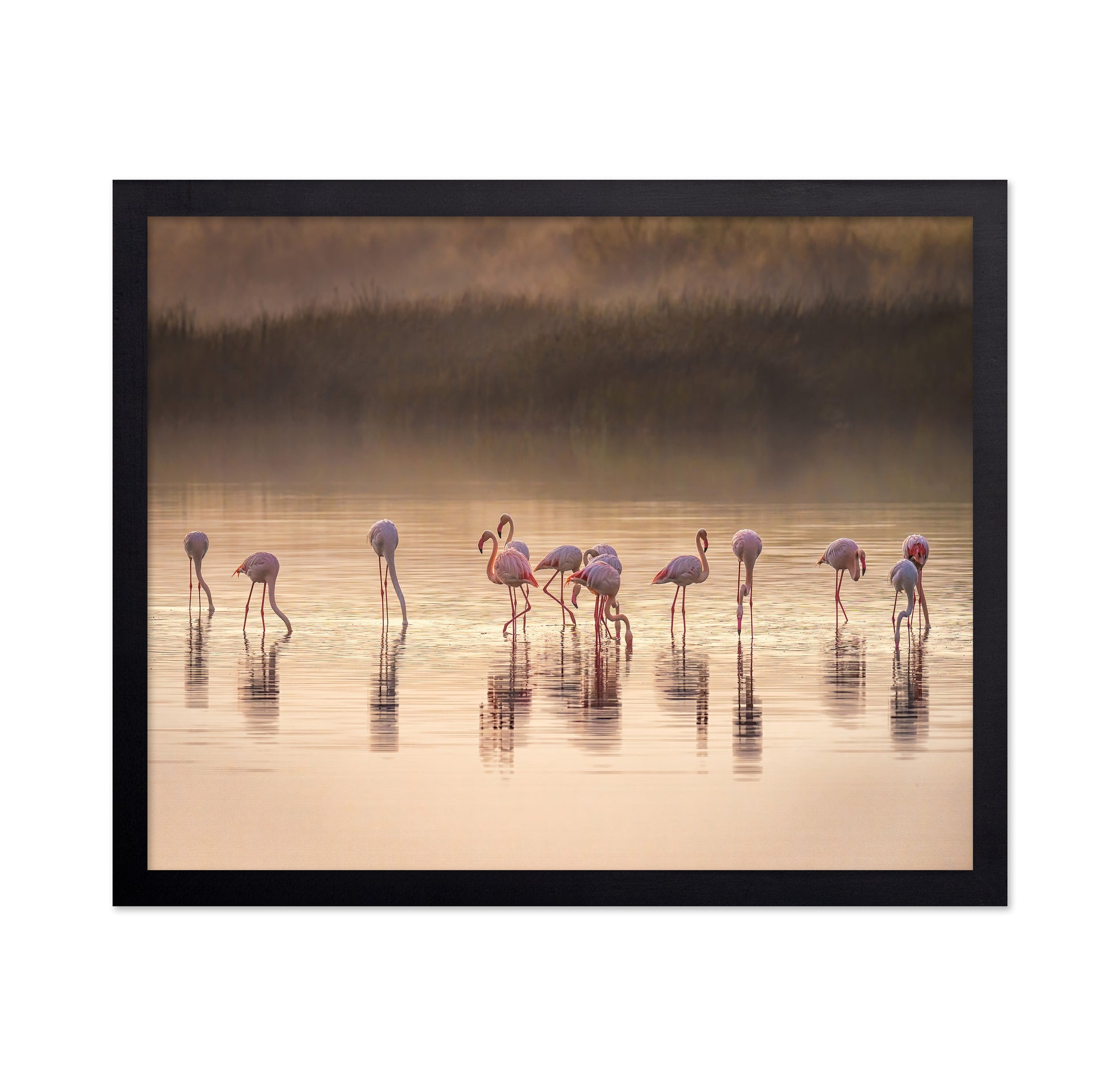 Photographic Ode to Monet