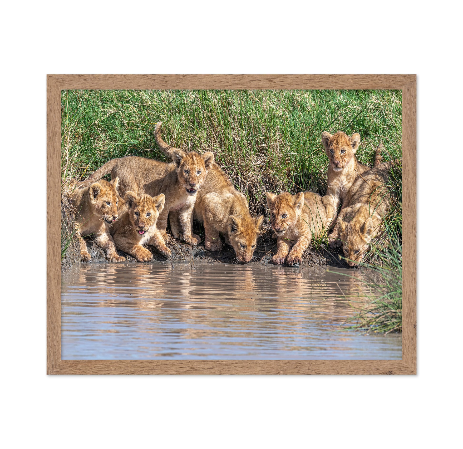 Six At The Waterhole