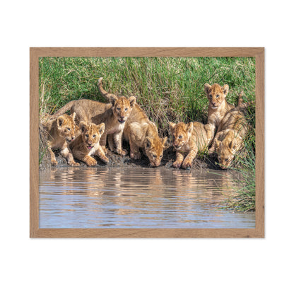 Six At The Waterhole