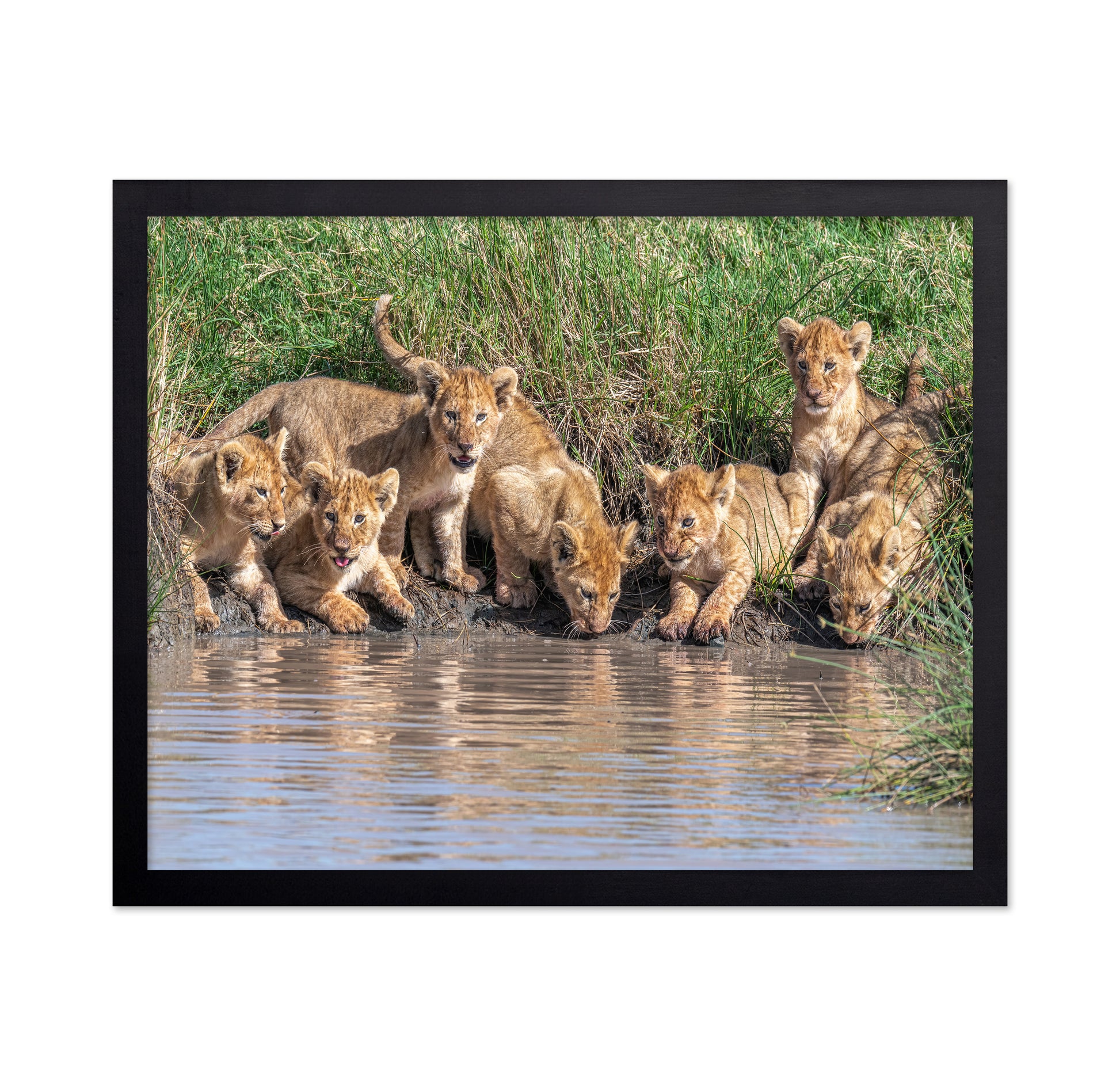 Six At The Waterhole
