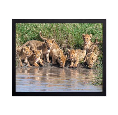 Six At The Waterhole