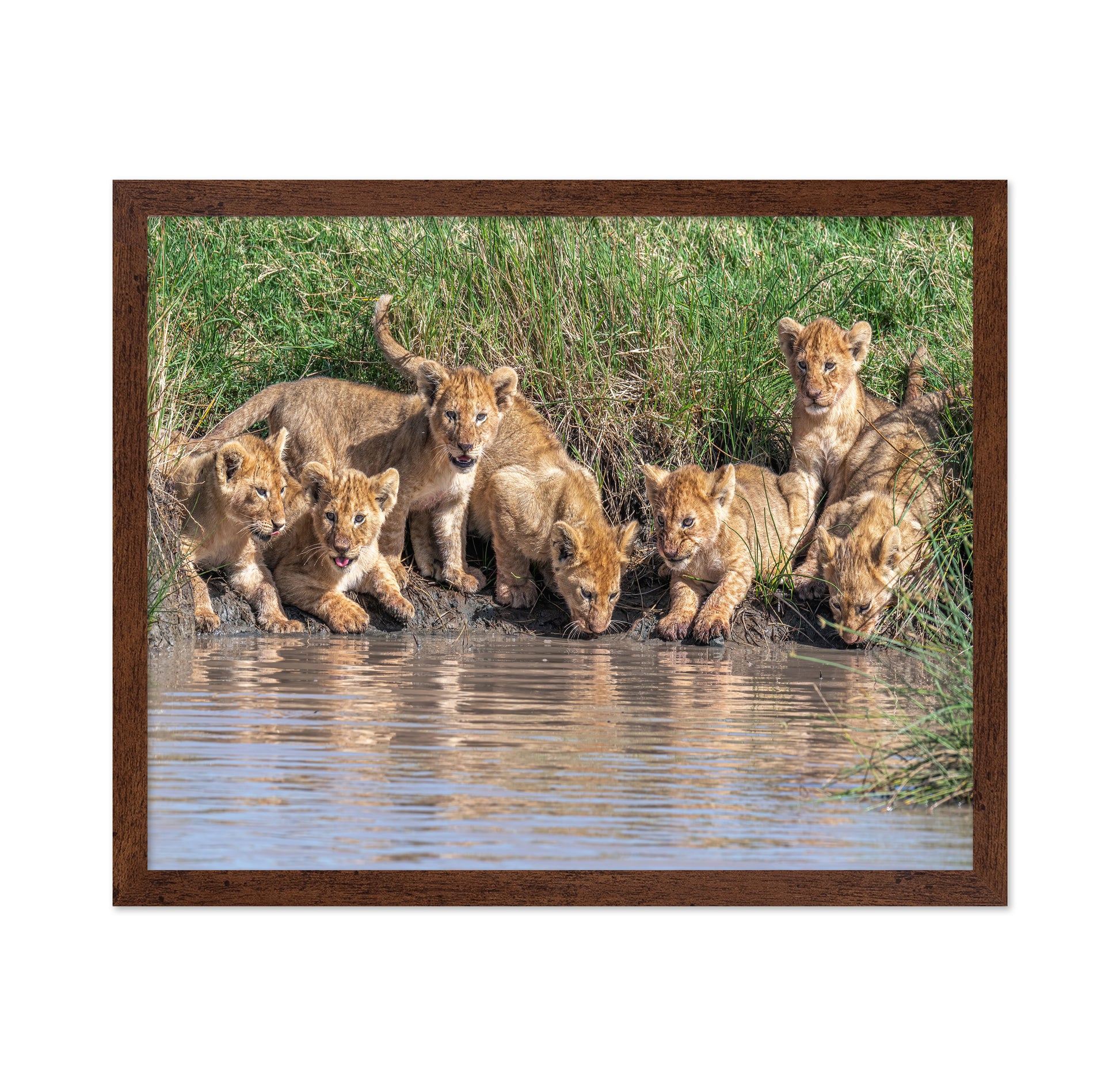 Six At The Waterhole