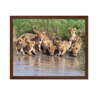 Six At The Waterhole