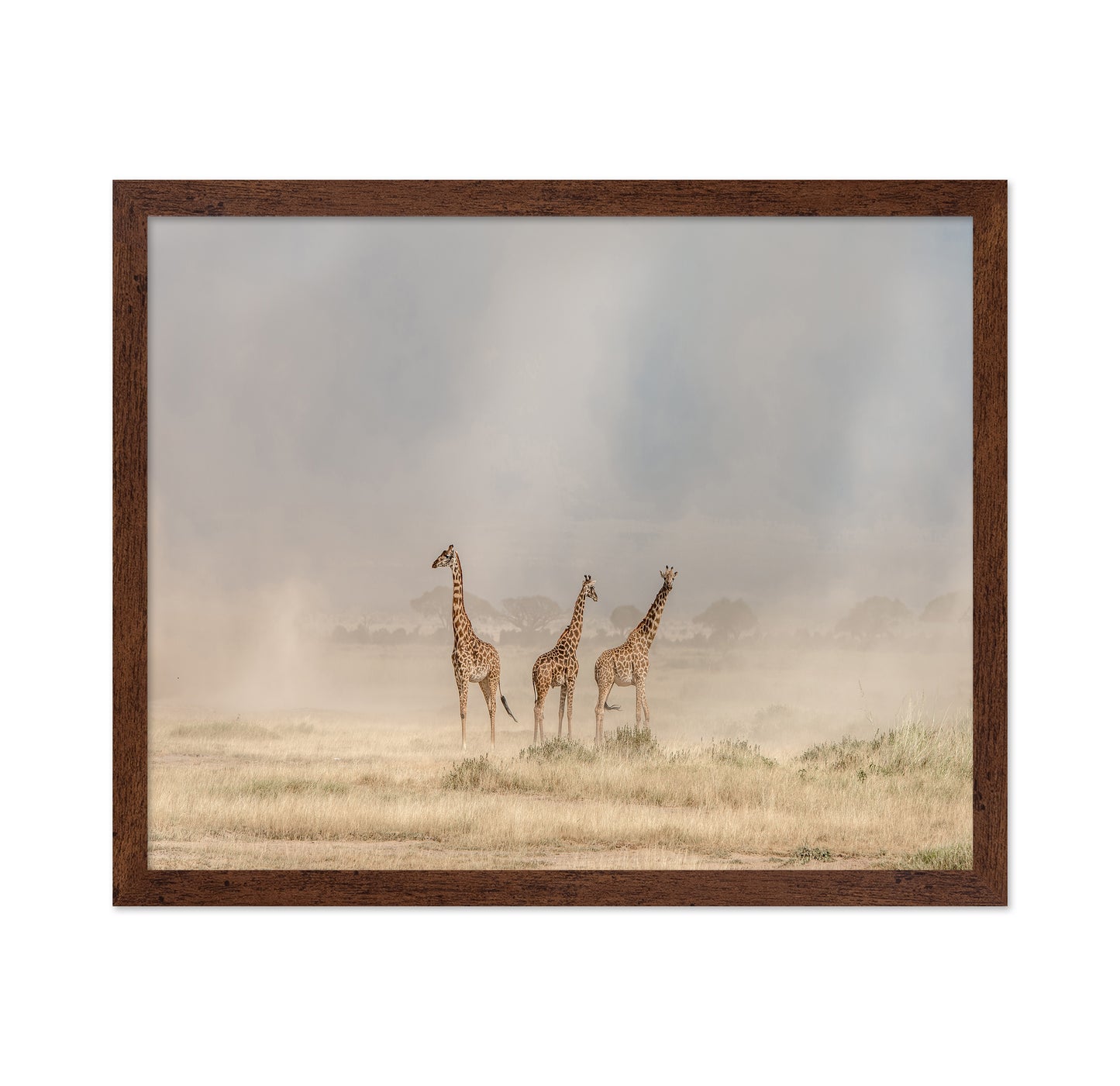 It's a Giraffe's World