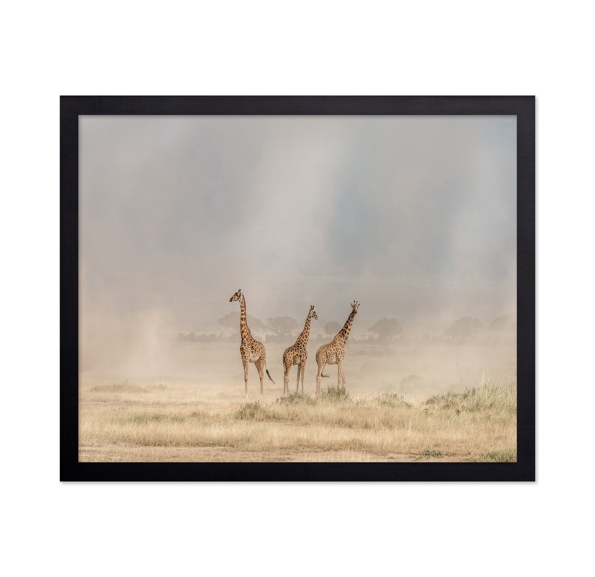 It's a Giraffe's World