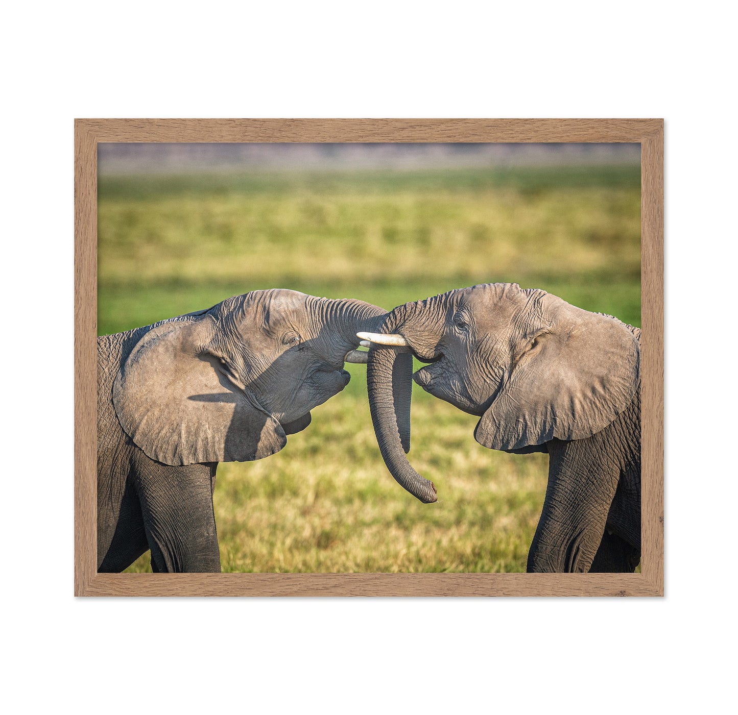 Trunk To Trunk